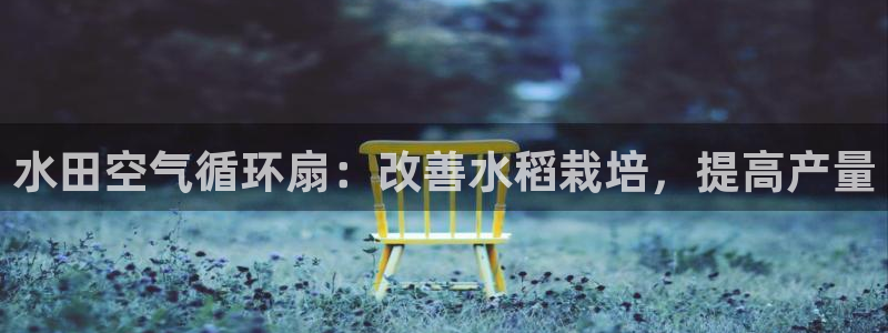 凯发k8国际真人娱乐旗舰厅：水田空气循环扇：改善水稻栽培，提高产量