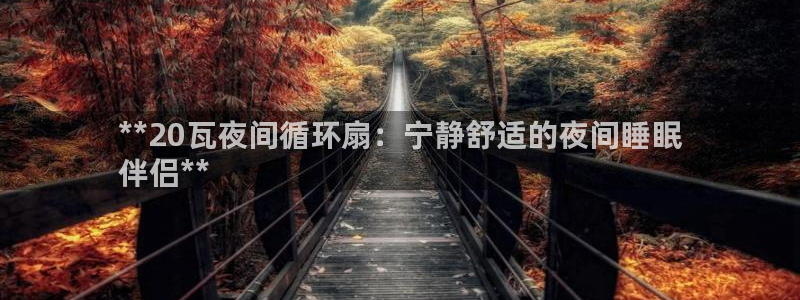 凯发唯一官方网站：**20瓦夜间循环扇：宁静舒适的夜间睡眠
伴侣**