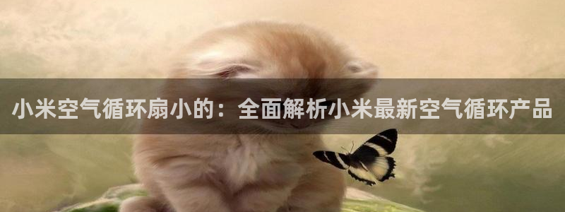 凯发手机官网客户端：小米空气循环扇小的：全面解析小米最新空气循环产品