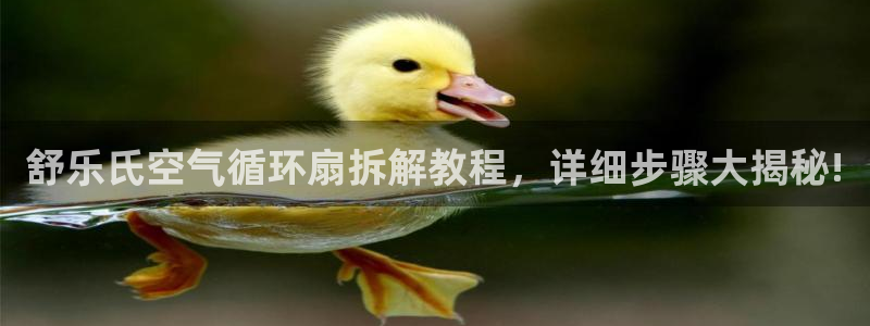 凯发k8国际官网可靠吗：舒乐氏空气循环扇拆解教程，详细步骤大揭秘!