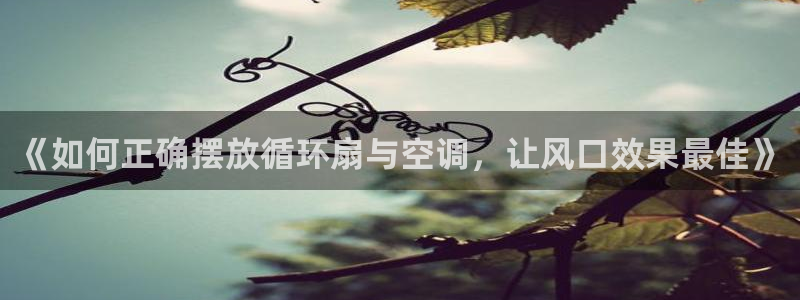 凯发平台敌7O777：《如何正确摆放循环扇与空调，让风口效果最佳》