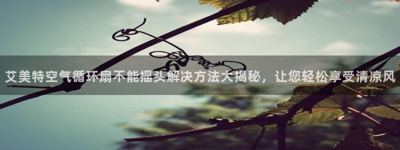 国际凯发k8真人版旗舰厅：艾美特空气循环扇不能摇头解决方法大揭秘，让您轻松享受清凉风