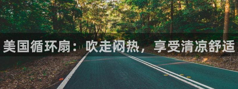 凯发k8娱乐官方版fxzls -安卓3.5：美国循环扇：吹走闷热，享受清凉舒适