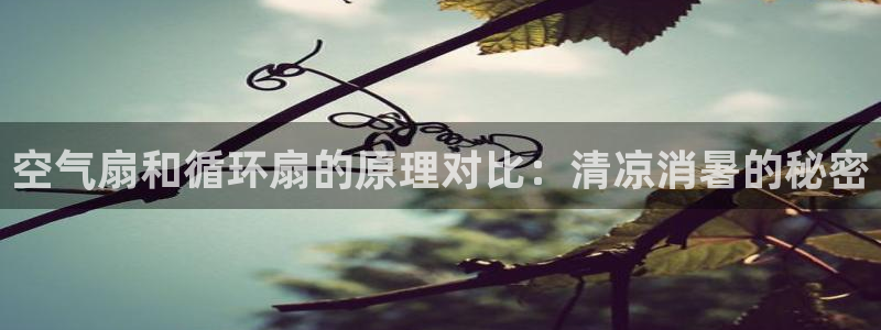凯发官方网站是多少：空气扇和循环扇的原理对比：清凉消暑的秘密