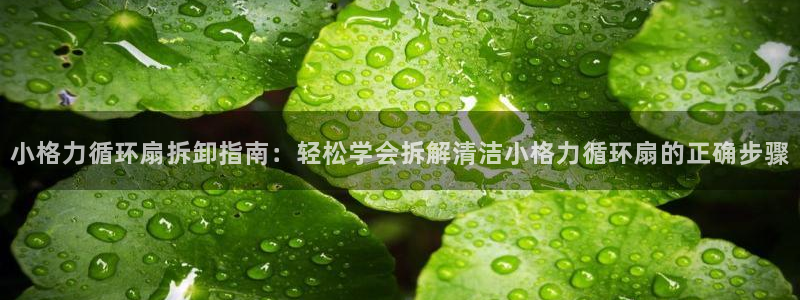 凯发线上官方网站下载网址：小格力循环扇拆卸指南：轻松学会拆解清洁小格力循环扇的正确步骤