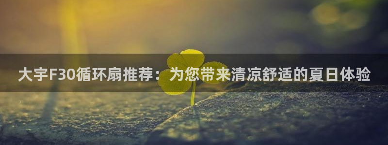 k8凯发是做什么的：大宇F30循环扇推荐：为您带来清凉舒适的夏日体验
