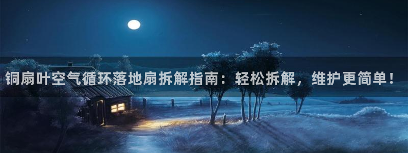 凯发k8娱乐平台能提现吗：铜扇叶空气循环落地扇拆解指南：轻松拆解，维护更简单！