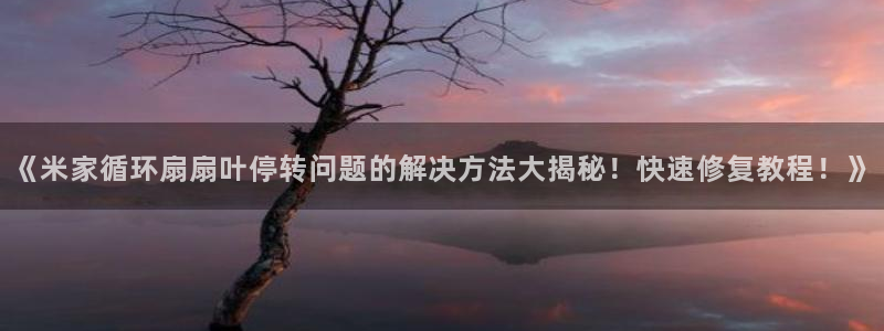凯发唯一官方网站：《米家循环扇扇叶停转问题的解决方法大揭秘！快速修复教程！》
