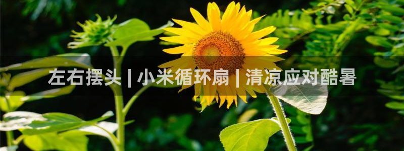 凯发k8是真是假